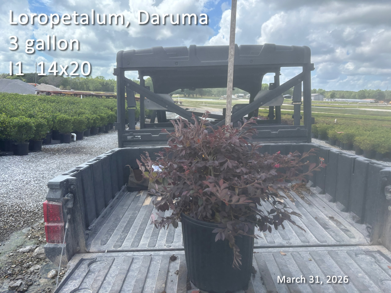 gallery/ldr3 i1 mar31.jpg